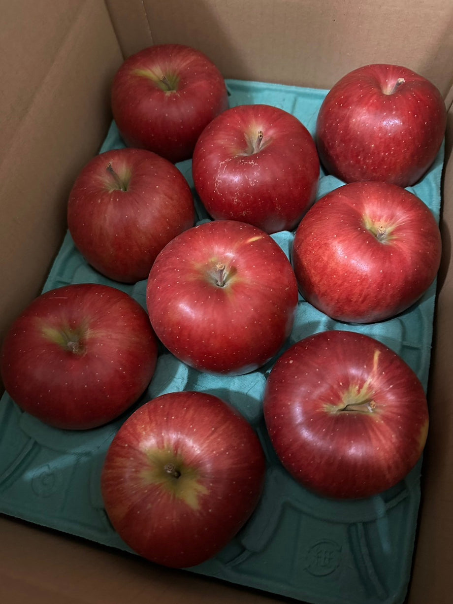 家庭用】~ひらかつがる～3kg(9個〜12個) – りんご侍