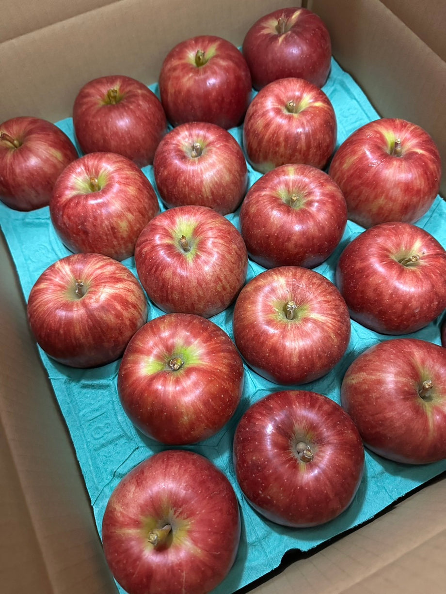 予約販売】(贈答用)～サンつがる5Kg～8月末発送 – りんご侍