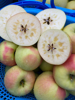 家庭用】名月～群馬県育成品種～3kg (11月中旬発送) – りんご侍