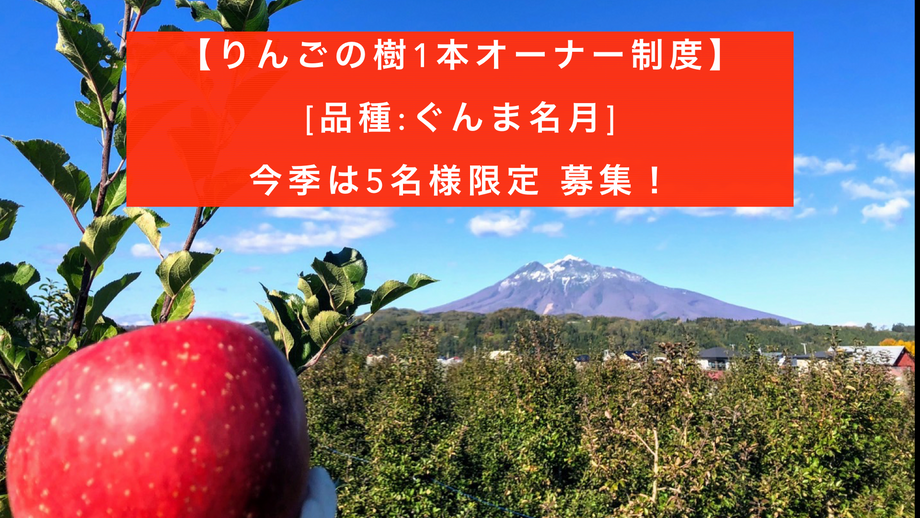 那由多のりんご園：2023オーナー制度[品種:ぐんま名月1本] 収穫間近