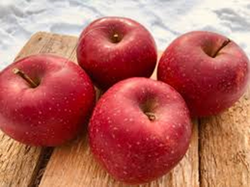 もりのかがやき】家庭用5kg(10月中下旬発送) – りんご侍