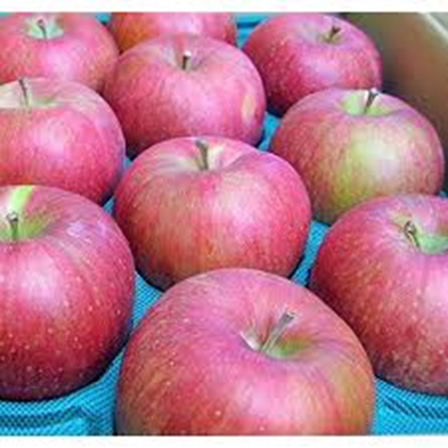 もりのかがやき】家庭用5kg(10月中下旬発送) – りんご侍