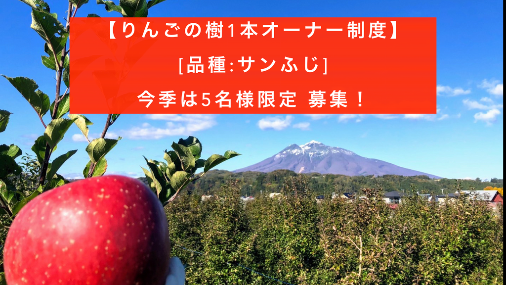 りんご農家直送！青森県弘前市産「ジョナゴールド＆もりのかがやき」約3kg家庭用！